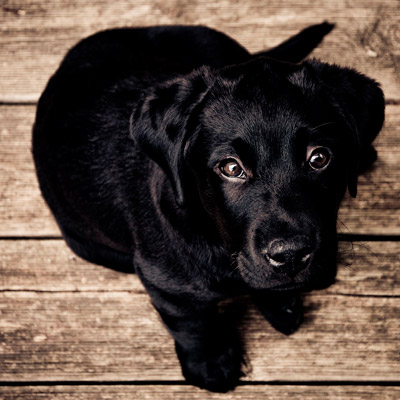 攻击网站的方法