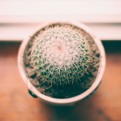 ddos攻击测试工具